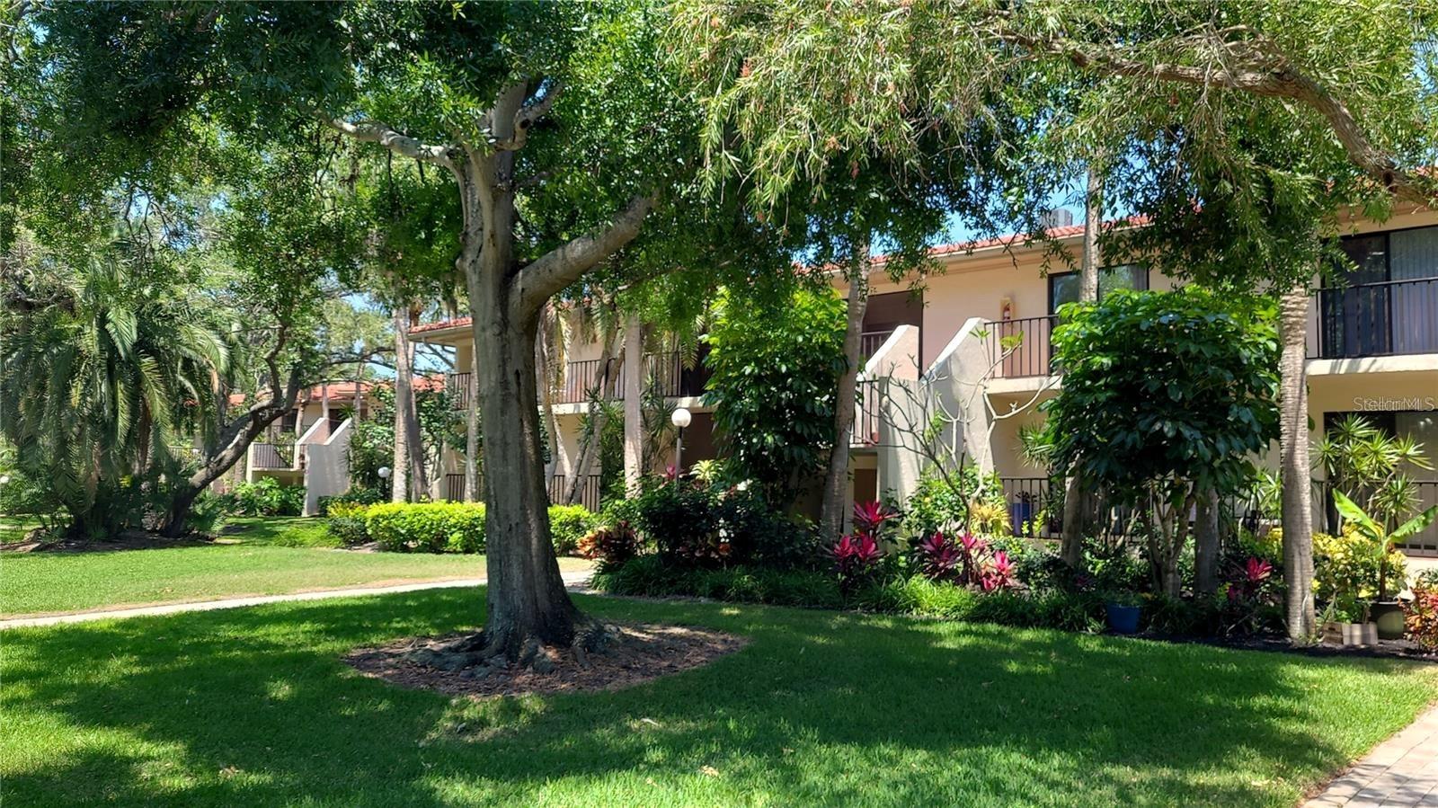 Image 5 of 36 For 6462 Wild Oak Bay Boulevard 245