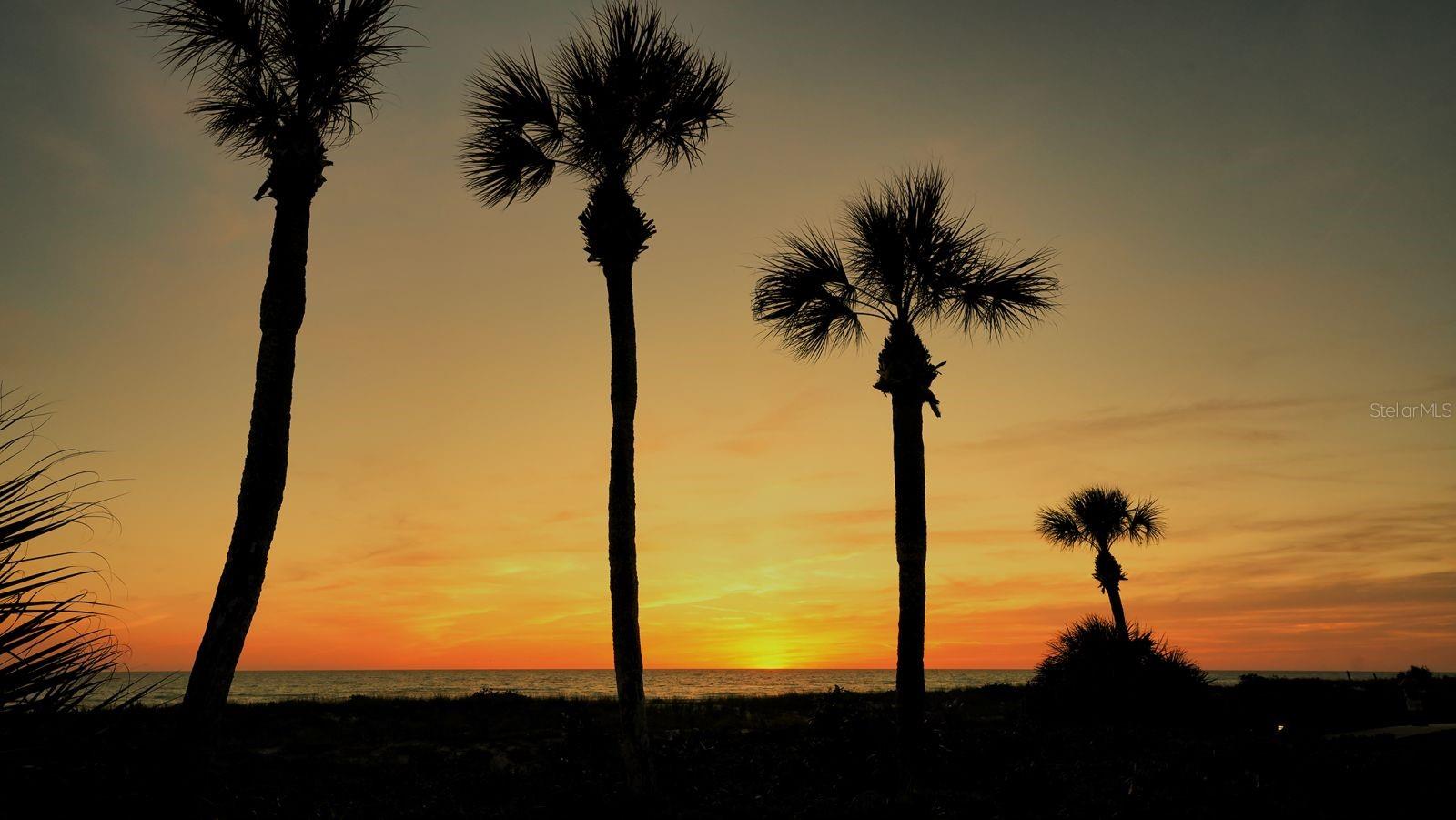 Image 67 of 70 For 2045 Gulf Of Mexico Drive M1-309