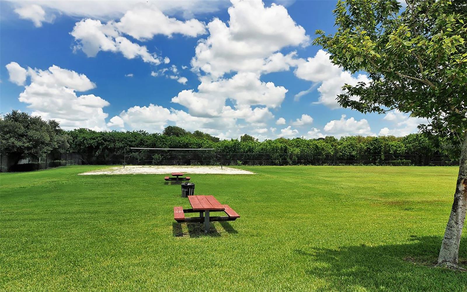 Image 50 of 55 For 4845 Turtle Bay Terrace