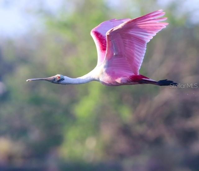 Image 47 of 50 For 8226 Barton Farms Boulevard