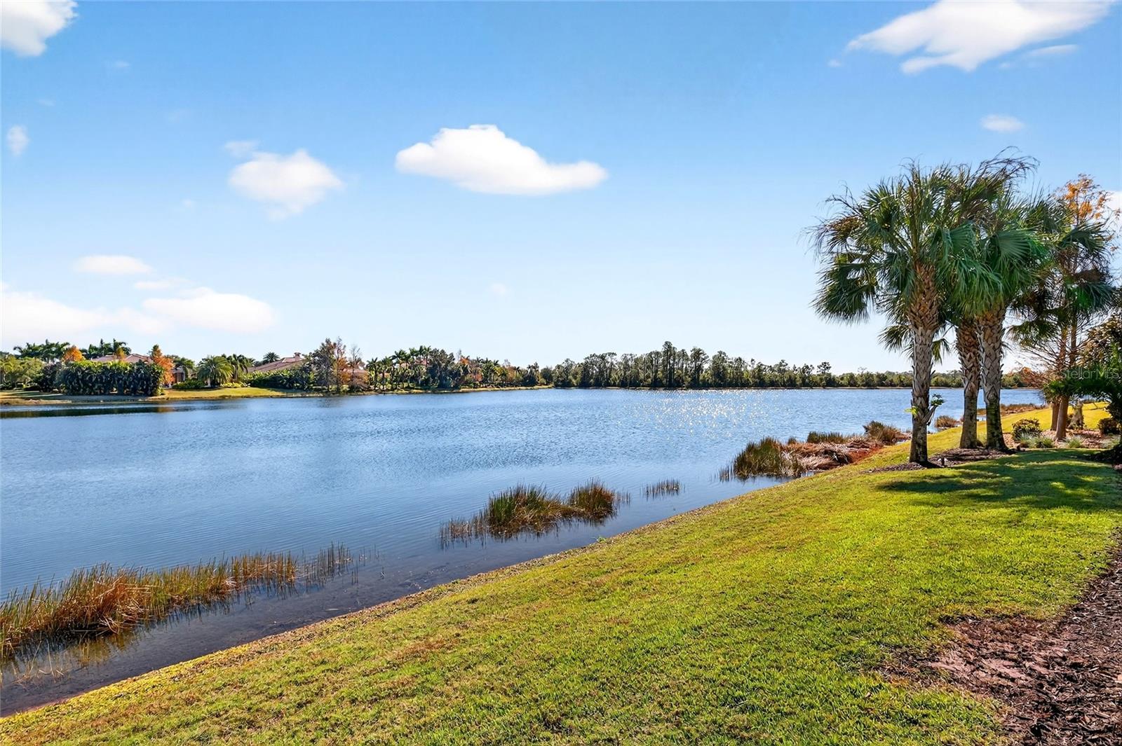 Image 47 of 99 For 19448 Newlane Place