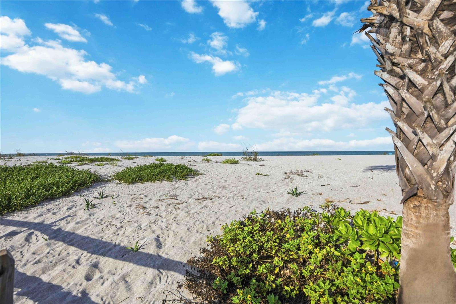 Image 38 of 62 For 500 Park  47