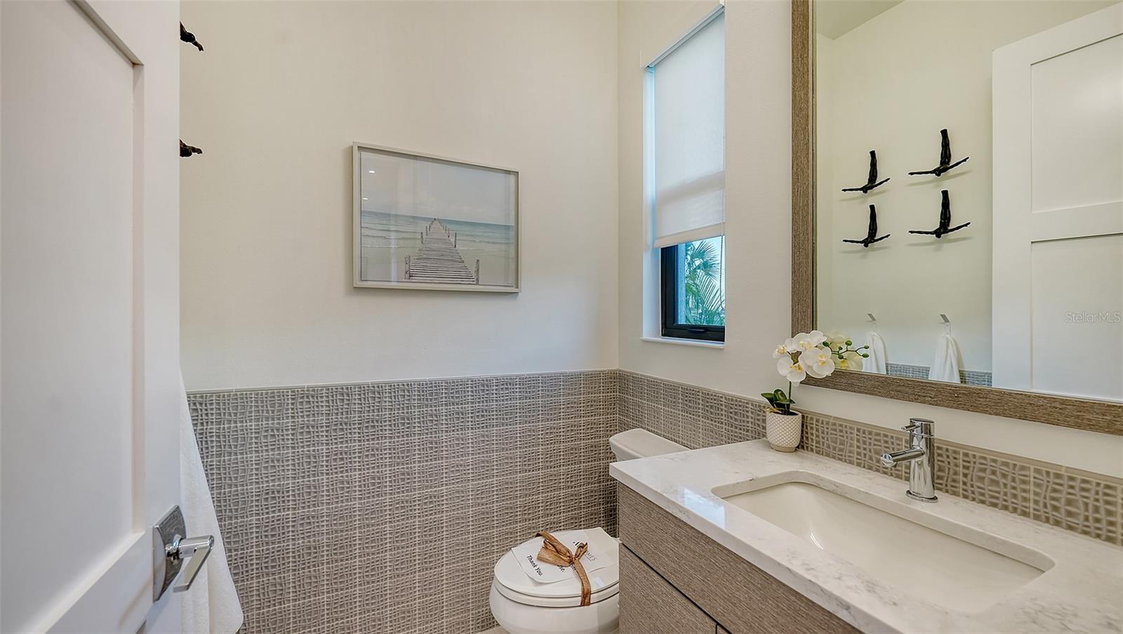 Image 37 of 90 For 1206 Blue Shell Loop