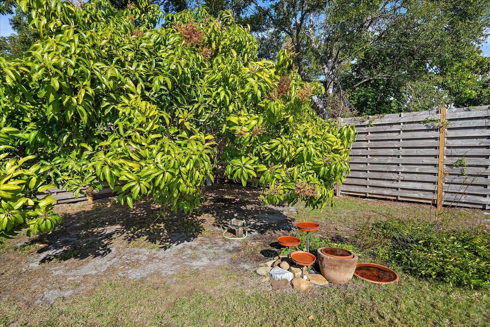 Image 43 of 58 For 1893 Rita Street