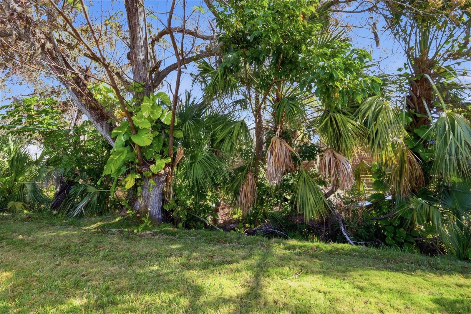 Image 20 of 43 For 1532 47th Avenue Drive E