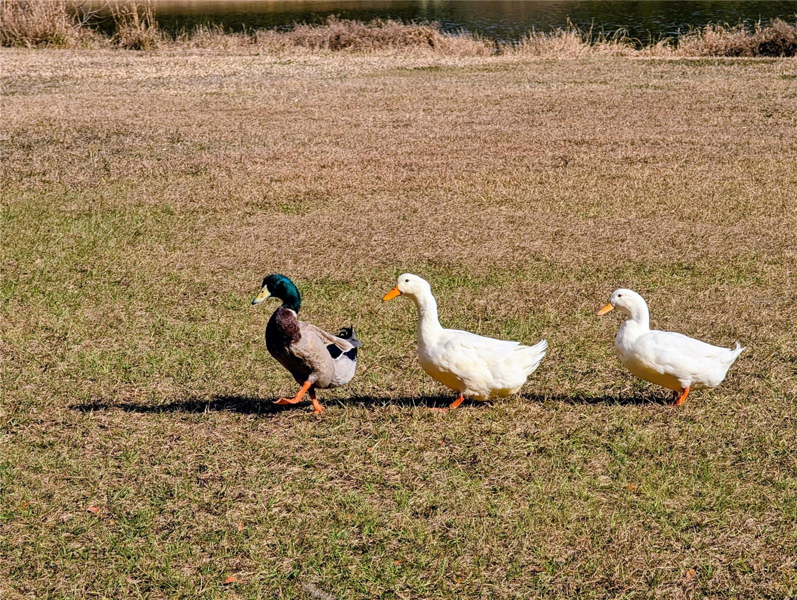 Image 11 of 15 For Sw 109th Place