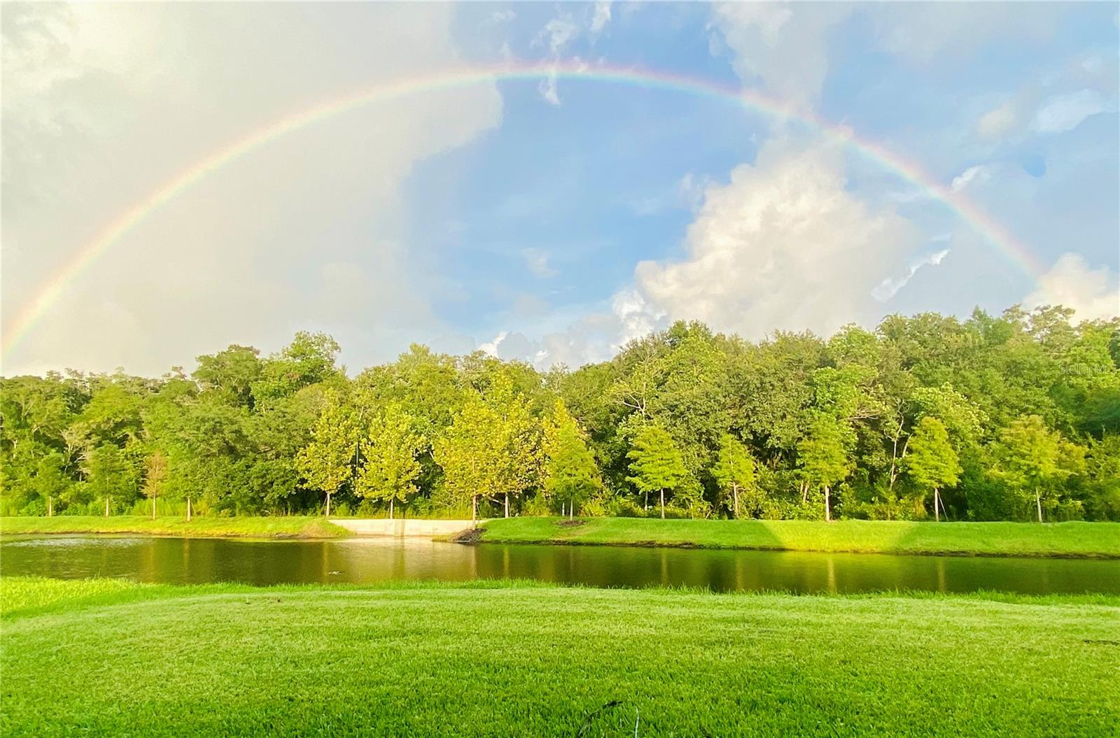 Image 61 of 63 For 16454 Woodside Glen