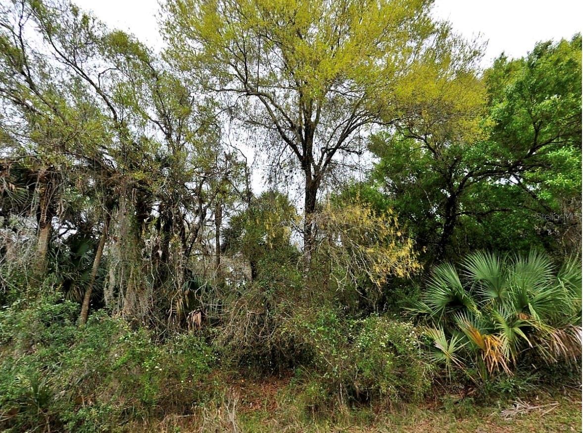 Listing Details for  Backert Rd.  , NORTH PORT, FL 34291