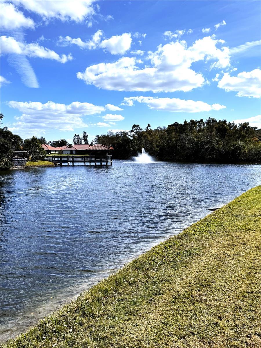 Image 38 of 59 For 229 Laurel Hollow Drive 83