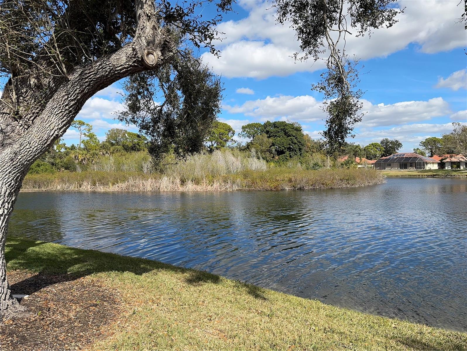 Image 40 of 59 For 229 Laurel Hollow Drive 83