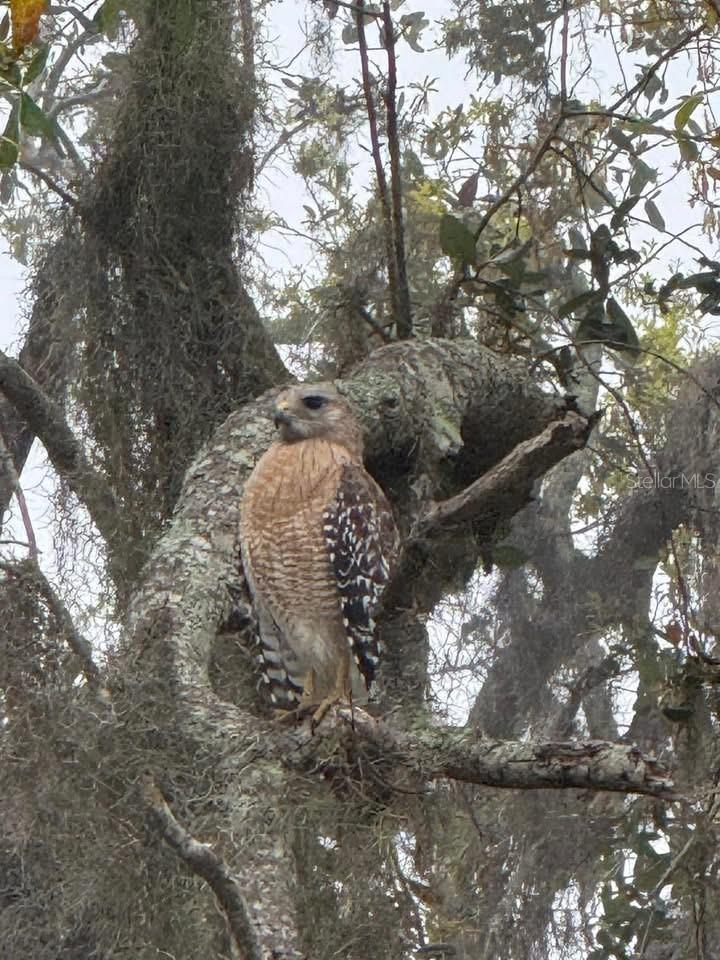 Image 49 of 54 For 8083 Waterbend Trail