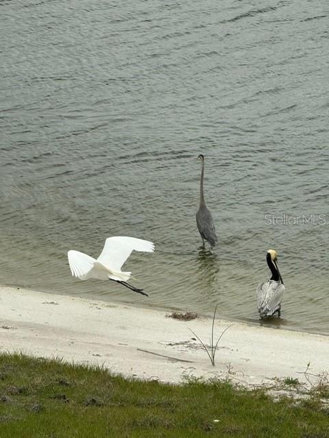 Image 50 of 54 For 8083 Waterbend Trail