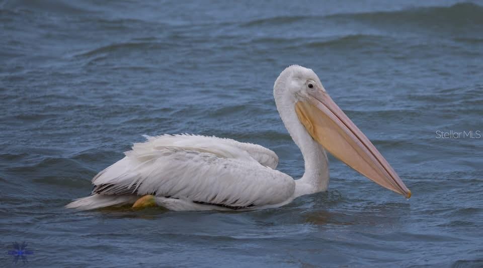 Image 54 of 54 For 8083 Waterbend Trail