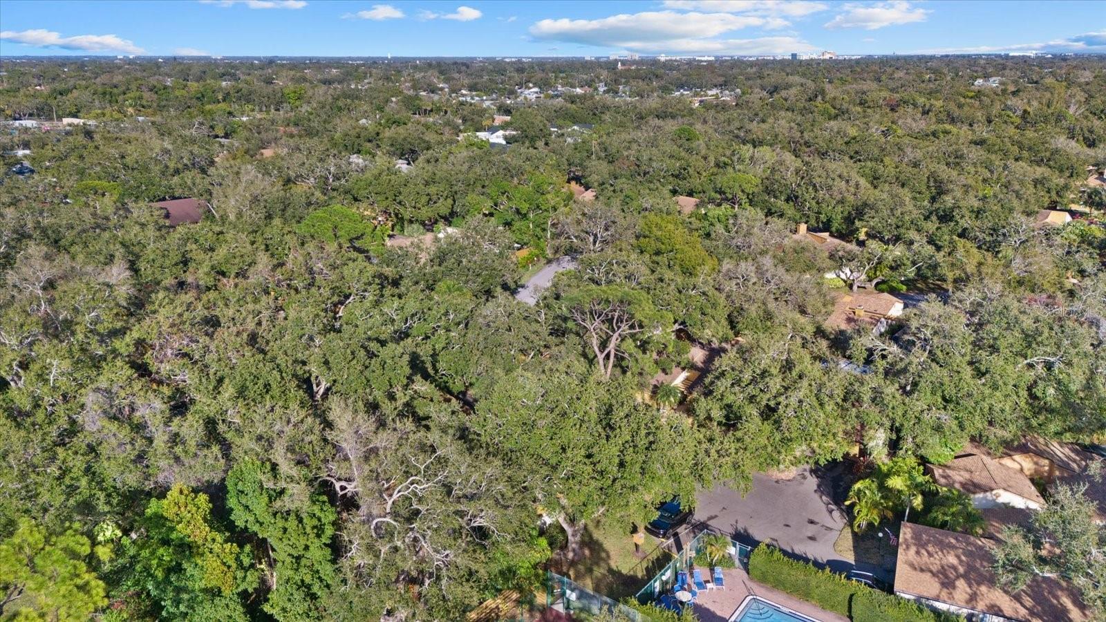 Image 53 of 60 For 2506 Songbird Lane