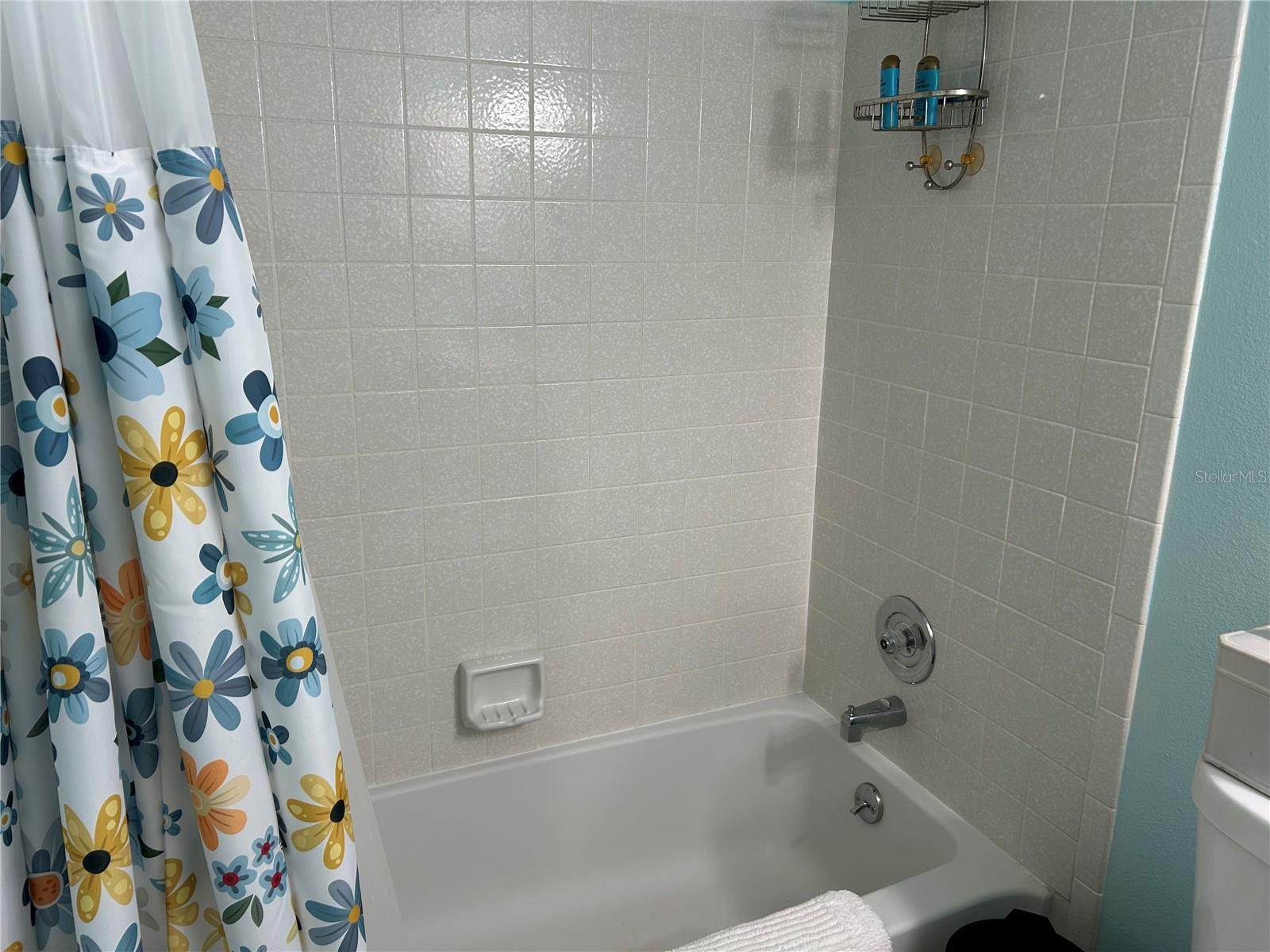 Image 10 of 33 For 4412 Spicewood Drive E