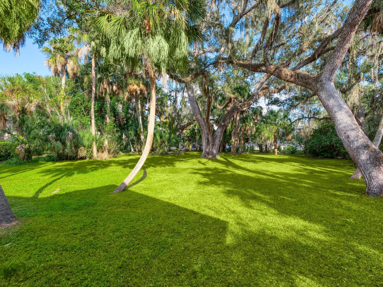 Image 32 of 59 For 1533 Oak Way