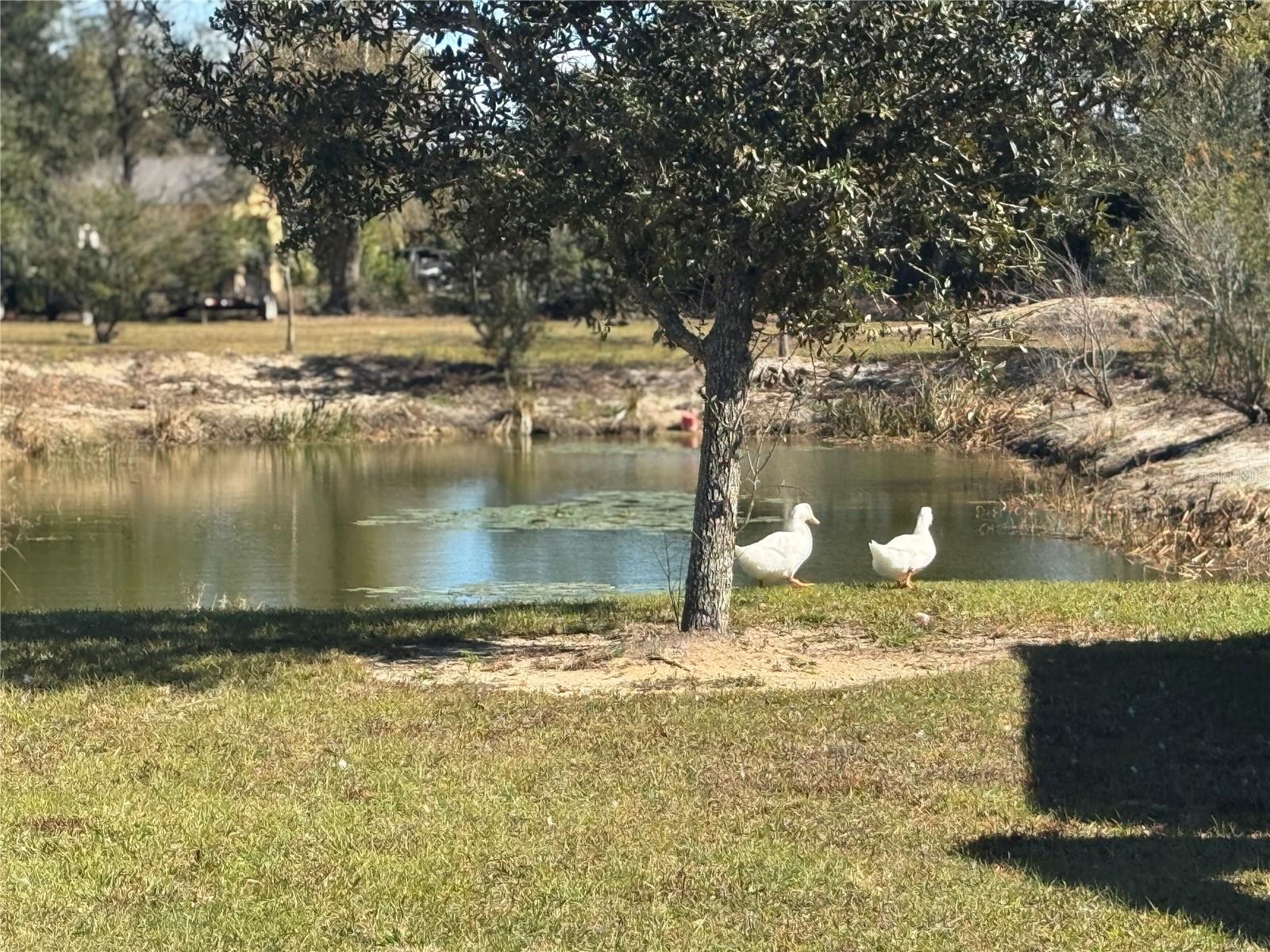 Image 18 of 40 For 9930 Hoth Road