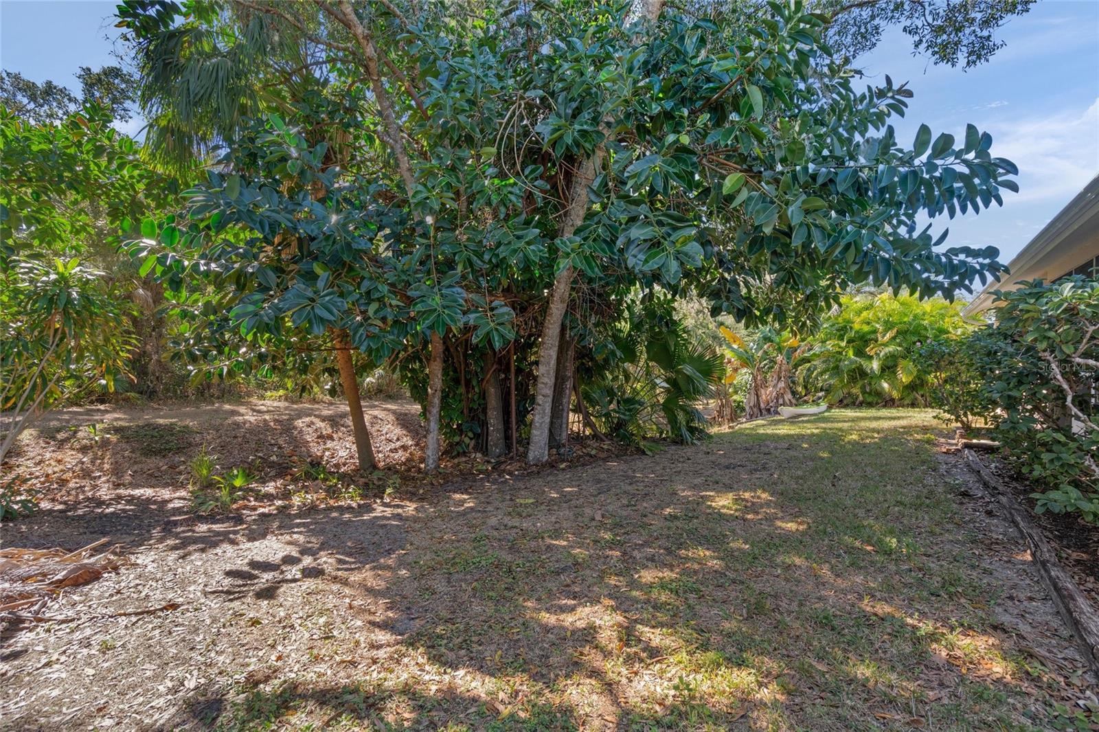 Image 32 of 45 For 2144 Cork Oak Street