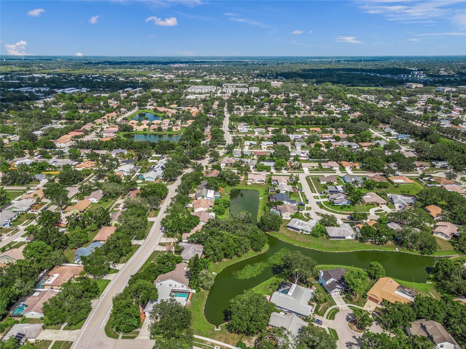 Image 33 of 45 For 2144 Cork Oak Street