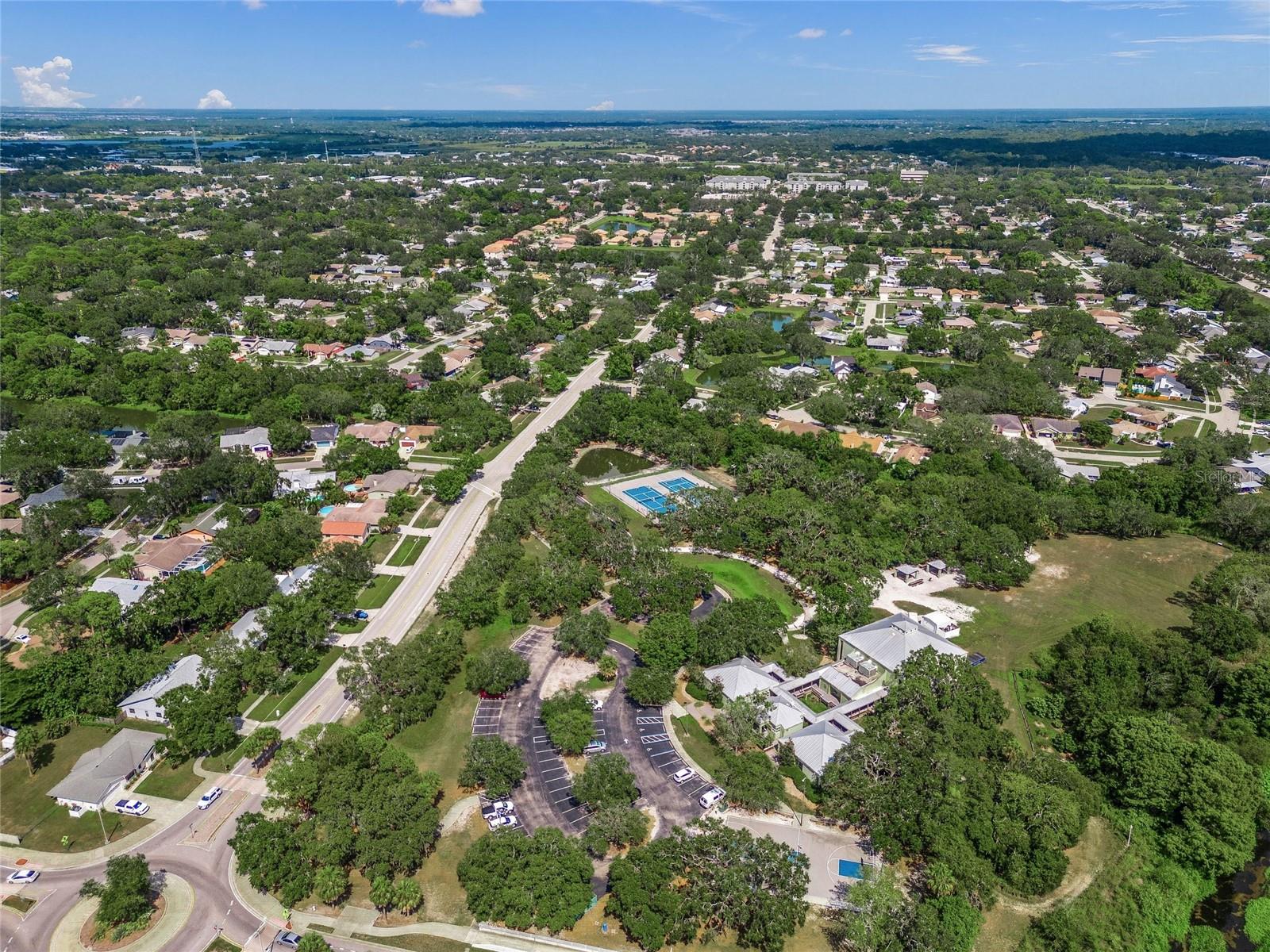 Image 36 of 45 For 2144 Cork Oak Street