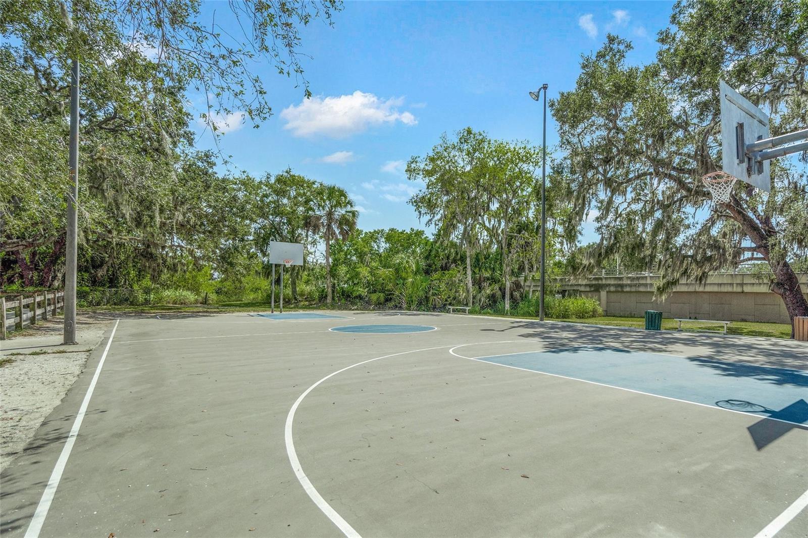 Image 41 of 45 For 2144 Cork Oak Street