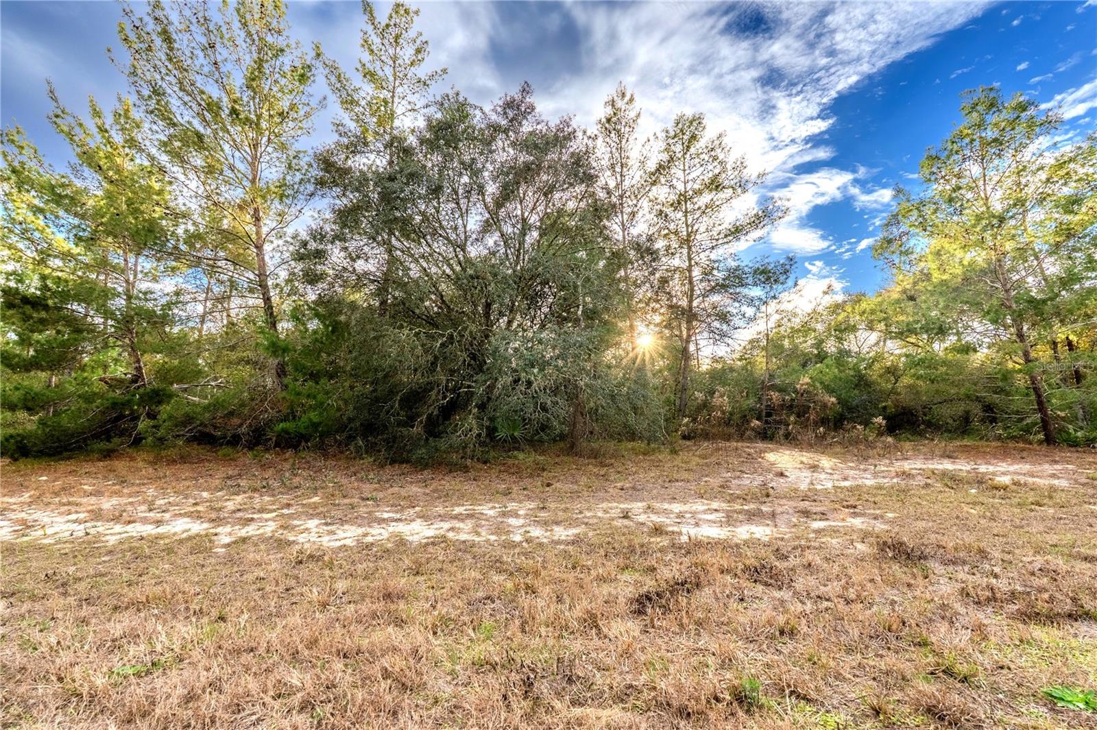 Image 12 of 12 For 0 32nd Circle