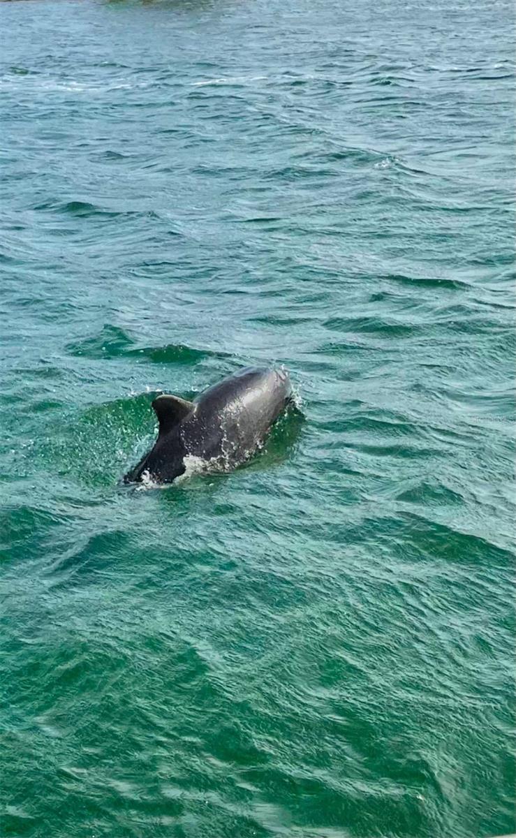 Image 31 of 33 For 550 Flamingo Drive 202