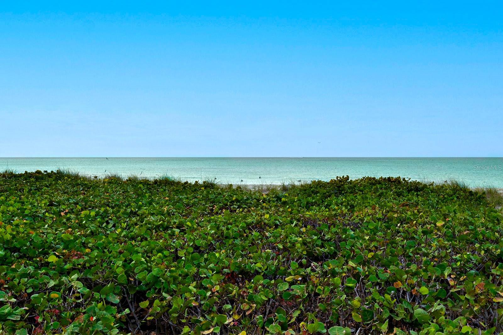 Image 32 of 33 For 550 Flamingo Drive 202