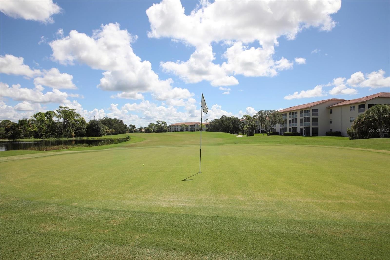 Image 51 of 71 For 9641 Castle Point Drive 1221