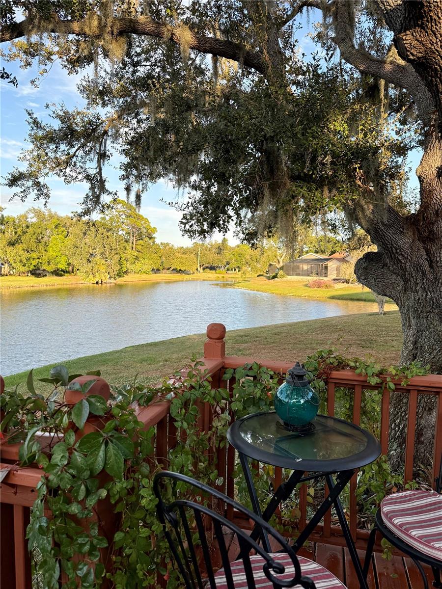 Image 57 of 68 For 2144 Black Oak Court