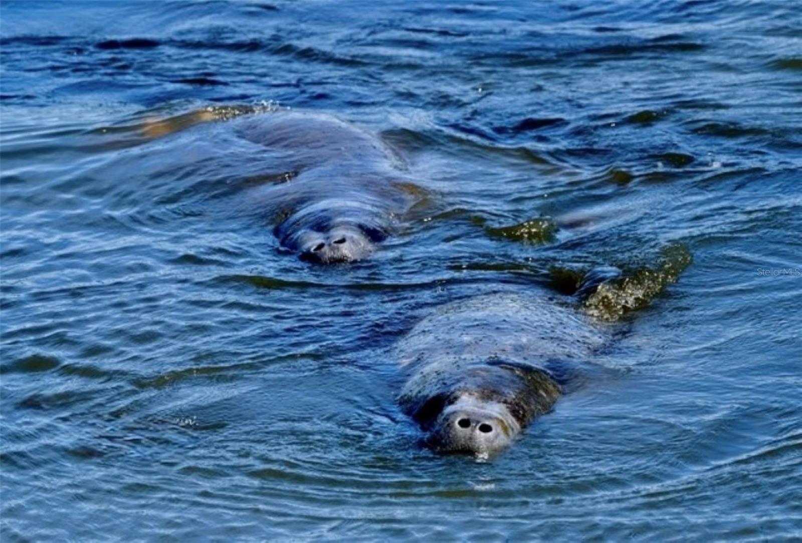 Image 4 of 79 For 4409 Mount Vernon Drive