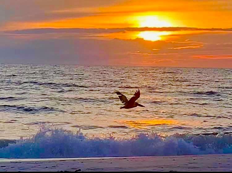 Image 16 of 93 For 4310 Falmouth Drive 102