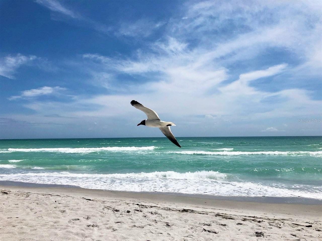 Image 2 of 93 For 4310 Falmouth Drive 102