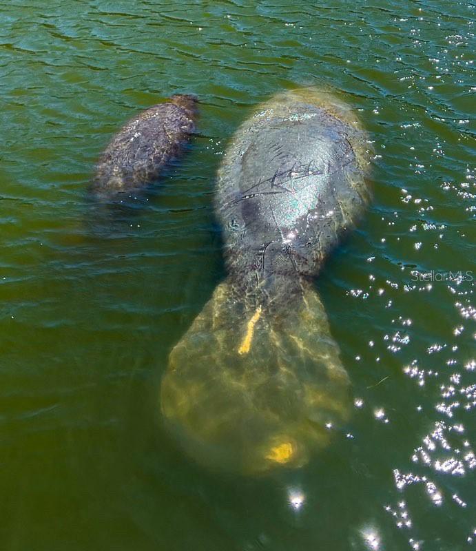 Image 85 of 93 For 4310 Falmouth Drive 102