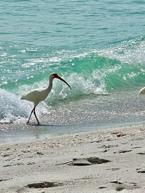 Image 89 of 93 For 4310 Falmouth Drive 102