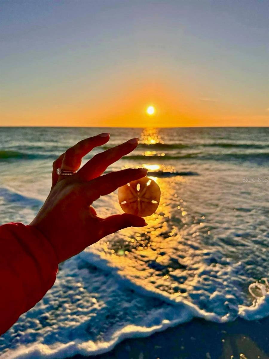 Image 90 of 93 For 4310 Falmouth Drive 102