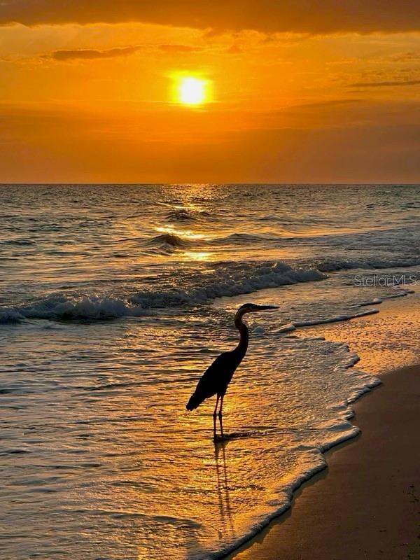 Image 91 of 93 For 4310 Falmouth Drive 102