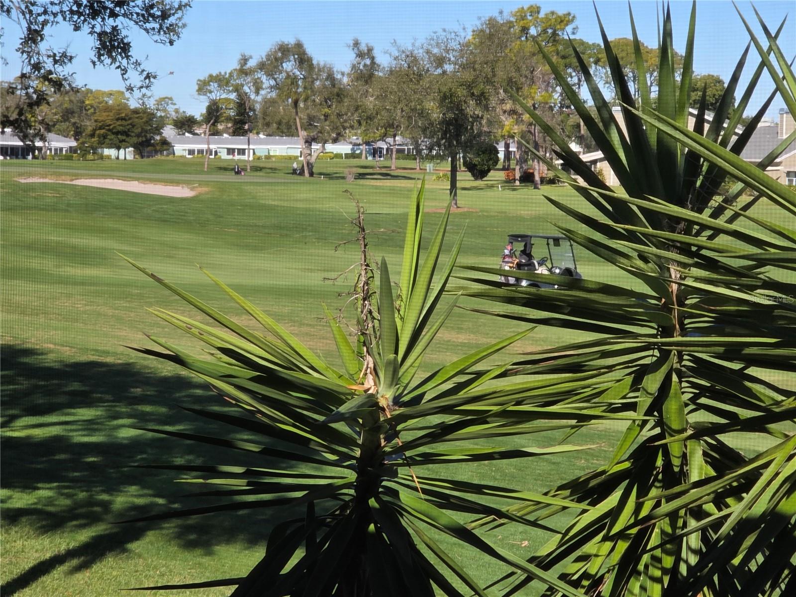 Image 6 of 10 For 3500 El Conquistador Parkway 260