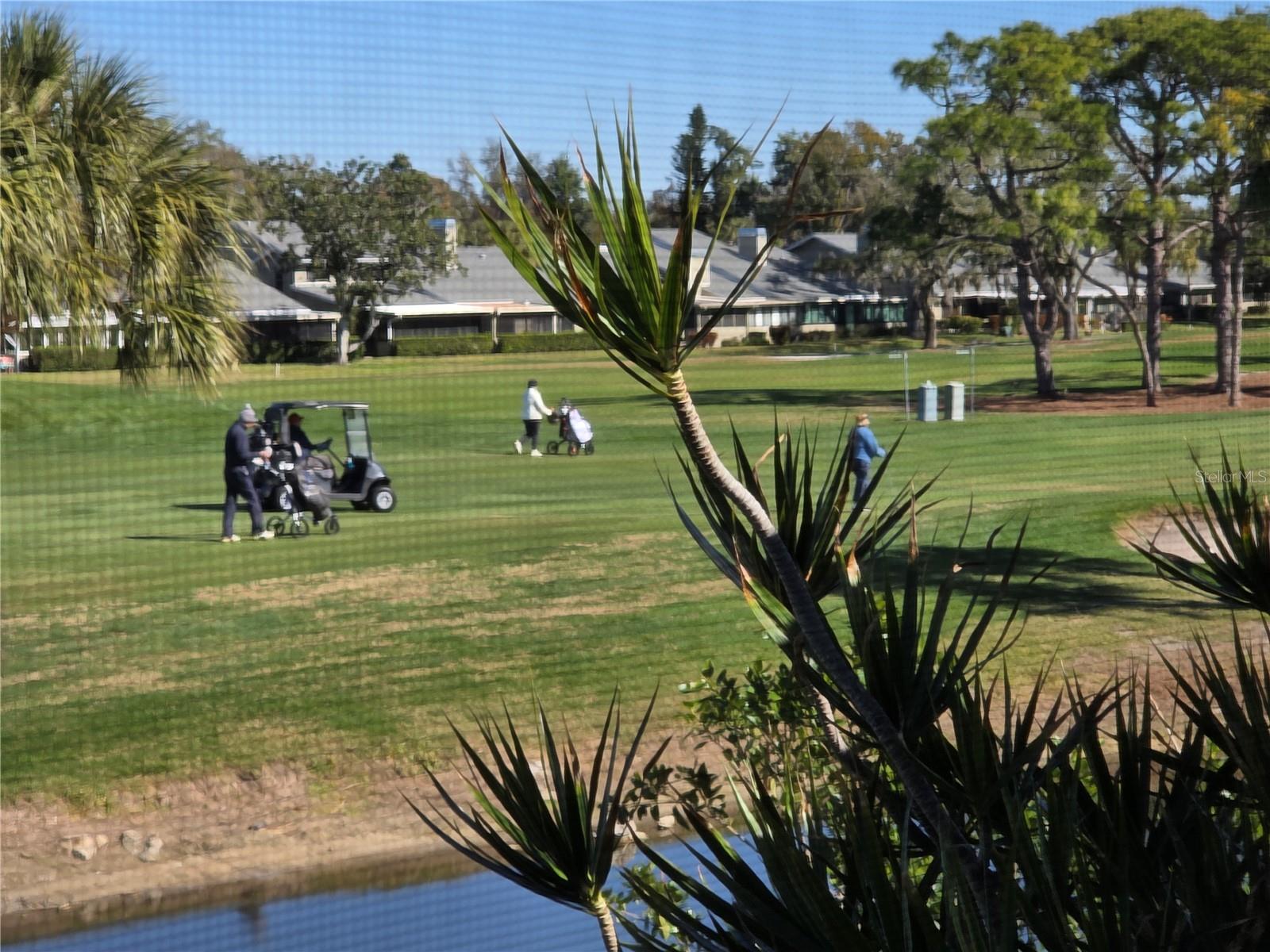 Image 8 of 10 For 3500 El Conquistador Parkway 260