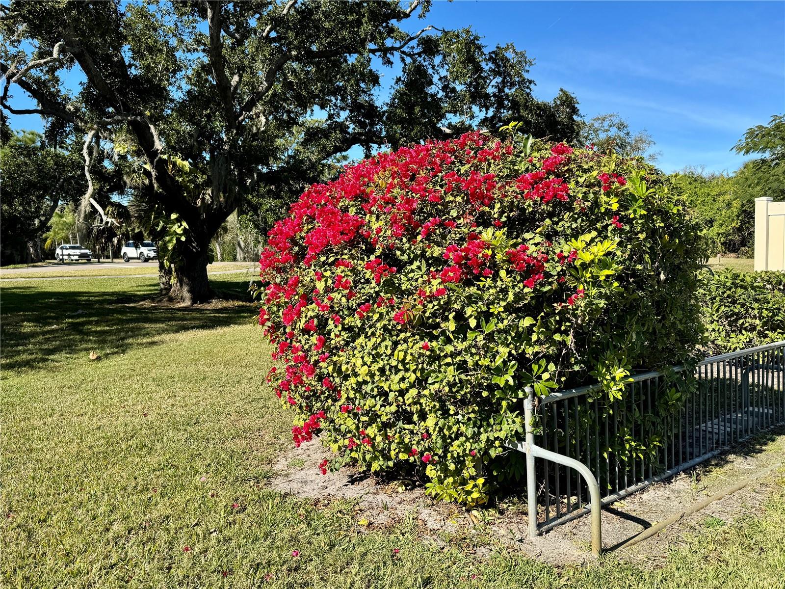 Image 51 of 57 For 5124 Harpers Croft  7