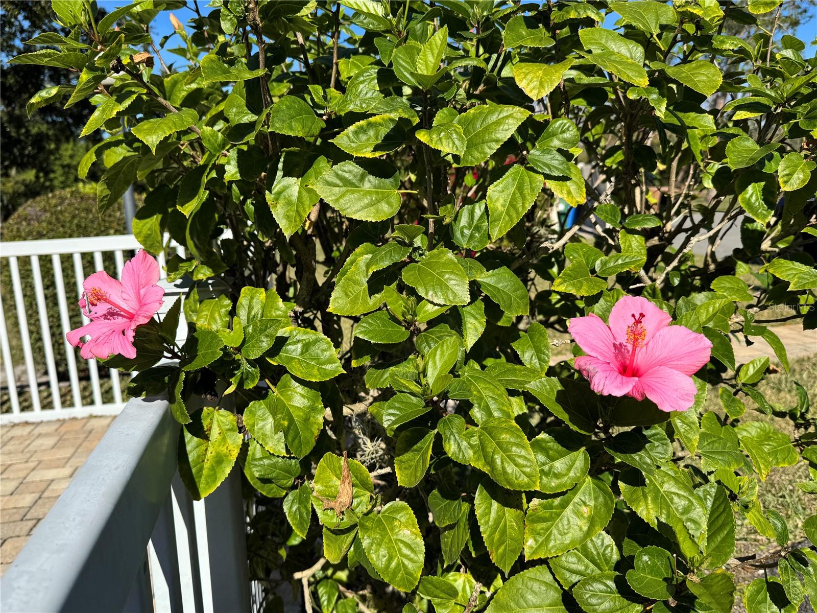 Image 52 of 57 For 5124 Harpers Croft  7