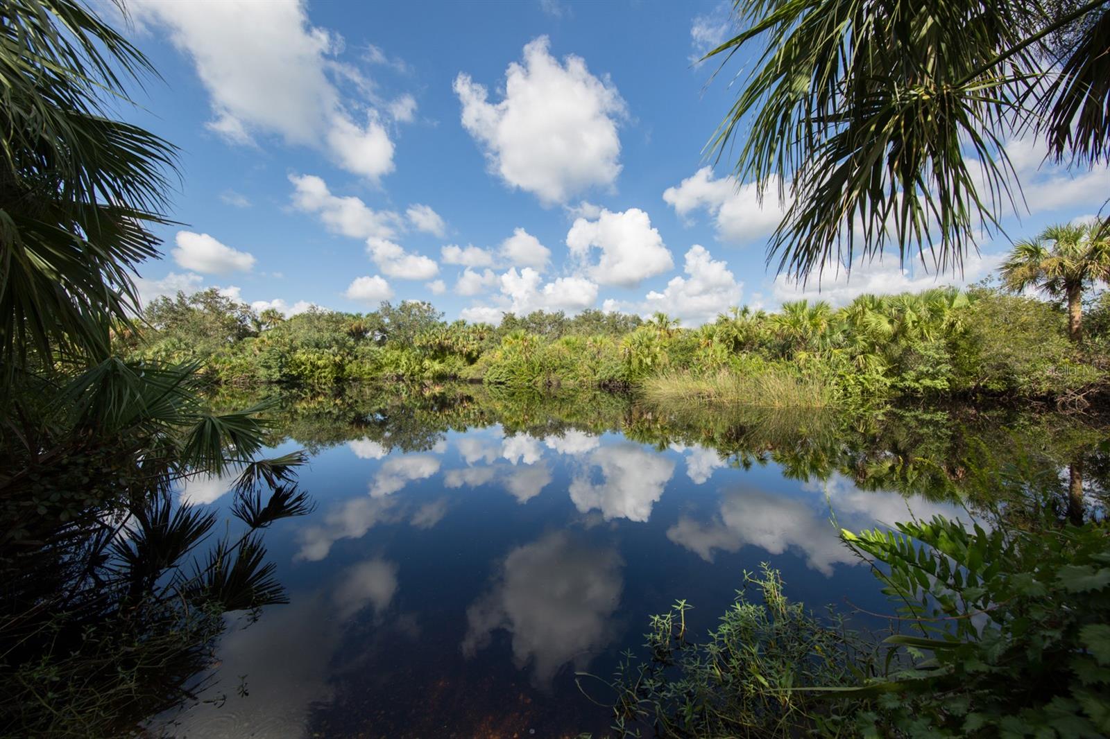 Image 43 of 76 For 5242 Abdella Lane