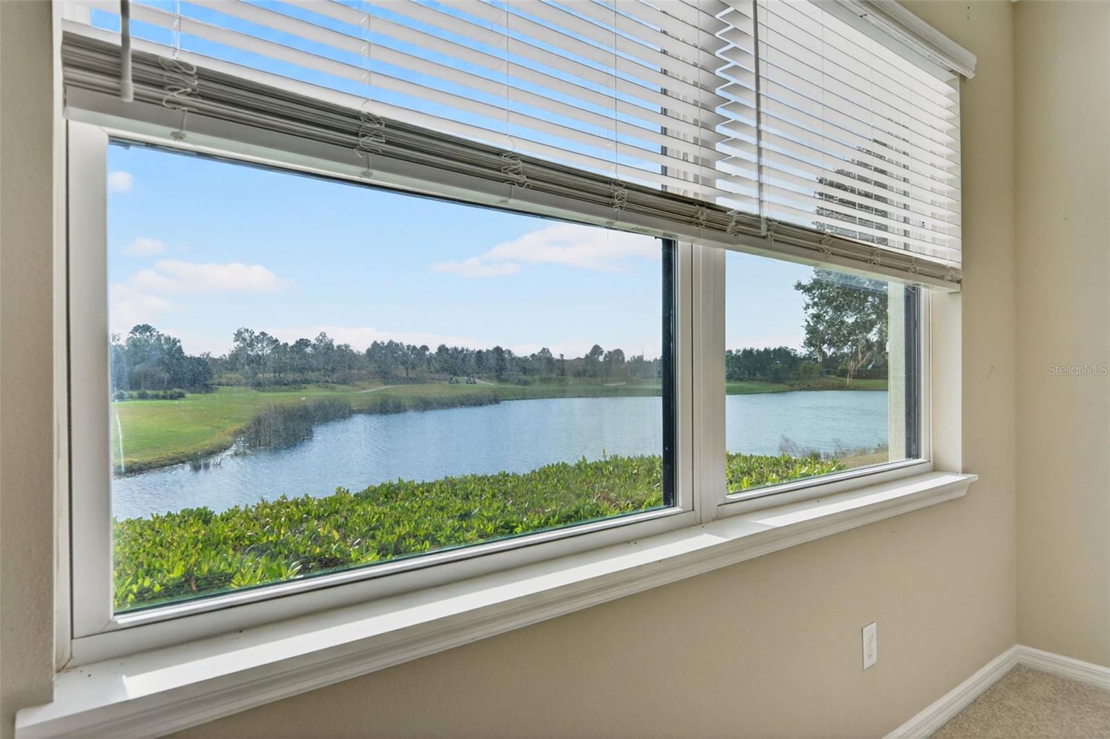 Image 37 of 99 For 13738 Messina Loop 103