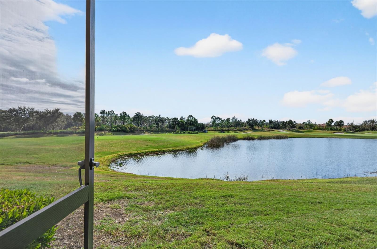 Image 51 of 99 For 13738 Messina Loop 103