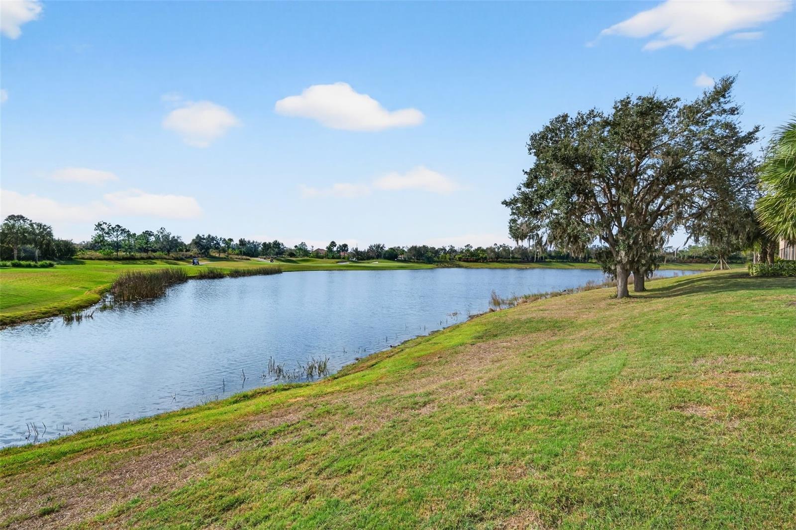 Image 54 of 99 For 13738 Messina Loop 103