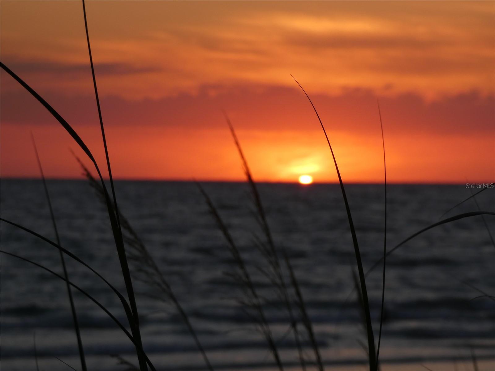 Image 31 of 33 For 5860 Midnight Pass Road 40