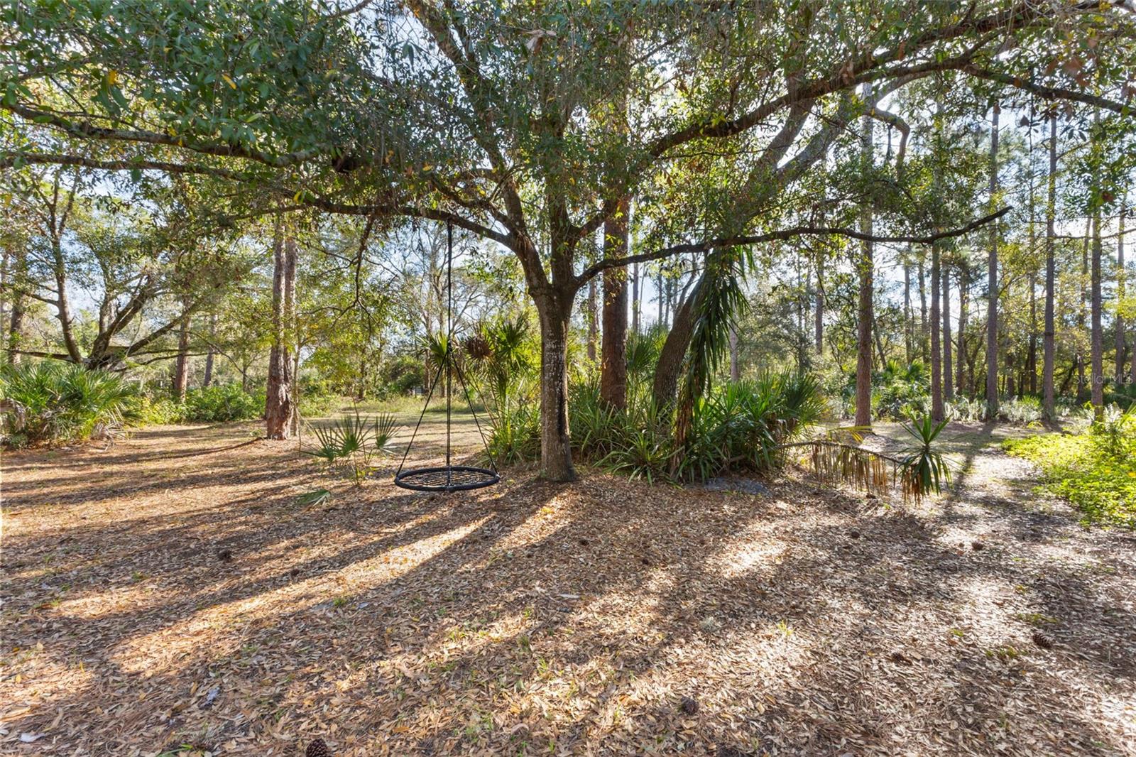 Image 69 of 72 For 6950 El Dorado Drive