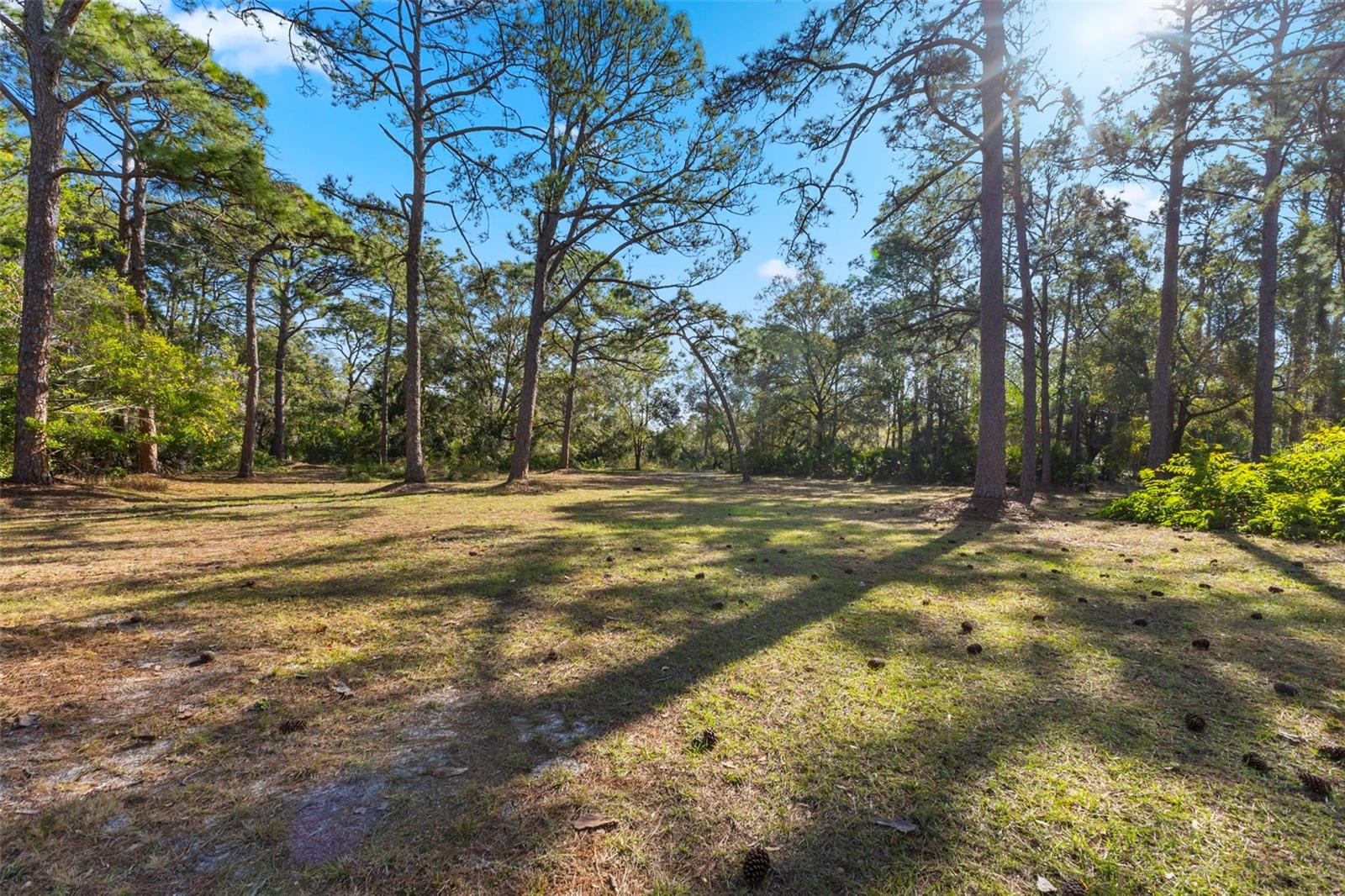 Image 71 of 72 For 6950 El Dorado Drive