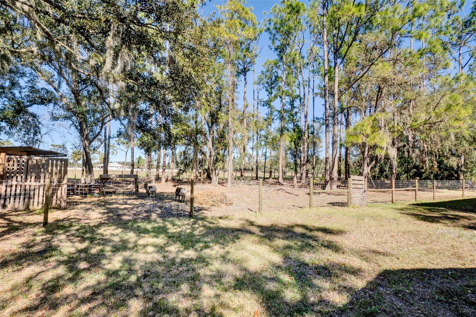 Image 24 of 40 For 16418 Winburn Drive