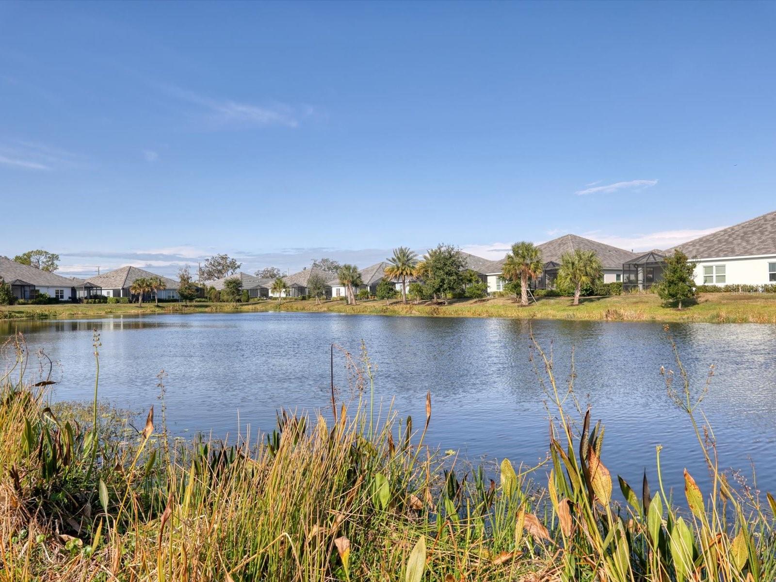 Image 23 of 45 For 2843 Butterfly Jasmine Trail